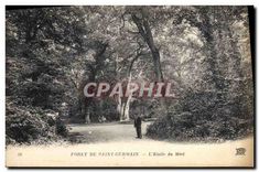 CPA Foret de Sain German  l'Etoile du Mail 