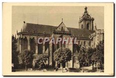 CPA Colmar Haut Rhin La Cathedrale Saint Martin 