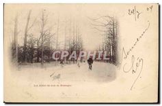 CPA Les Allees du bois de Boulogue 