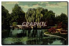 CPA Strasbourg Orangerie La Piece d'Eau 