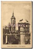 CPA Colmar Haut Rhin Les cigognes 