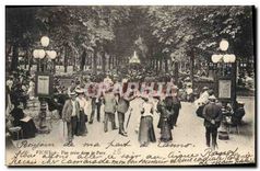 CPA Vichy Vue prise dans le Parc 