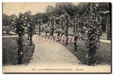 CPA La Roseraie de Bagatelle 