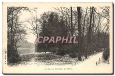 CPA Paris Le Bois de Boulogne en Hiver 