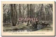 CPA Le Bois de Boulogne en Automne Chute de la Mare aux Biches 