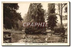 CPA Vichy Le Bassin des Cygnes 