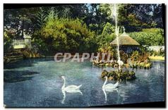 CPA Vichy Le Nouveau Parc Le Bassin des Cygnes
