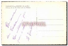 CPA Tarascon sur Rhone (B du Rh) Chat au dit du Roi Rene (cote du Rhone)