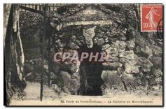 CPA Foret de Fontainebleau La Fontaine du Mont Chauvet