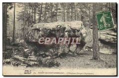 CPA Foret de Fontainebleau L'Elephant (Gorges d'Apremont)