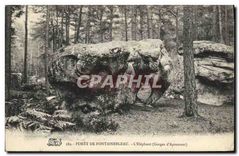 CPA Foret de Fontainebleau L'Elephant (Goerges d'Apremont)