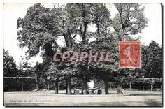 CPA La Table du Roi Foret de Fontainebleau