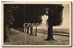 CPA Saint Germain en Laye Les Quinconces de la Terrasse