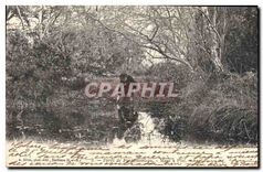 CPA Foret de Fonteinebleau Mare a Piat 