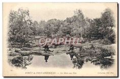 CPA Foret de Fontainebleau La Mare aux Fees 