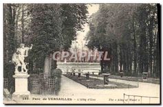CPA Parc de Versailles L'Allee d'Eau 