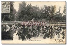 CPA Versailles Le Bassin du Dragon 