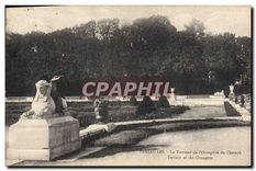 CPA Versailles la Terrasse de l'Orangerie du Chateau 