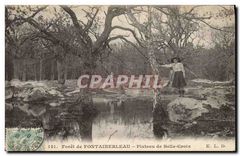 CPA Foret de Fontainebleau Plateau de Belle Croix 
