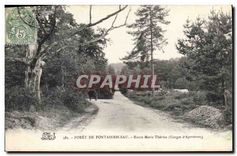 CPA Foret de Fontainebleau Route Marie Therese 