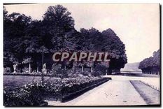 CPA Parc de Versailles L'Allee de l'Automne et Tapis vert 