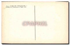 CPA Parc de Versailles L'Allee de l'Automne et Tapis vert 