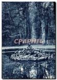 CPA Parc de Versailles Bassin de Flore par Tuby 
