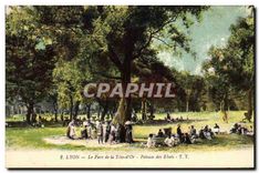 CPA Lyon Le Parc de la Tete d'Or Pelouse des Ebats 