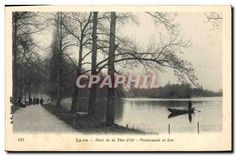 CPA Lyon Parc de la Tete d'Or Promenade et Lac 