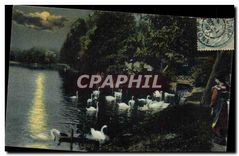 CPA Lyon Le Parc de la Tete d'Or 