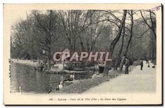 CPA Lyon Parc de la Tete d'Or Le Coin des Cygnes 