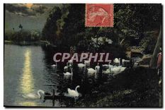 CPA Lyon Parc de la Tete d'Or