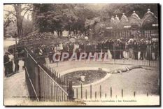 CPA Lyon Parc de la Tete d'Or une des curiosites Lyonnaises les Crocodiles 