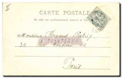 CPA Lyon Les Cygnes au Parc 