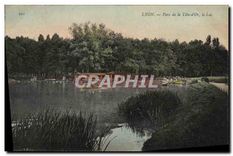 CPA Lyon Parc de la Tete d'Or Le Lac 