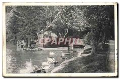 CPA Lyon Parc de la Tete d'Or Coin des Cygnes 