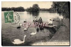 CPA Lyon Un Coin du Lac au Parc de la Tete d'Or 