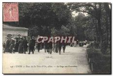 CPA Lyon Parc de la Tete d'Or Allee La Cage aux Crocodiles 
