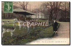 CPA Lyon Parc de la Tete d'Or Les Cerfs 