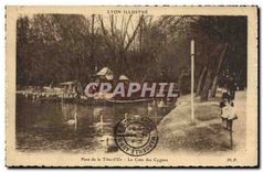 CPA Lyon Parc de la Tete d'Or Le Coin des Cygnes 