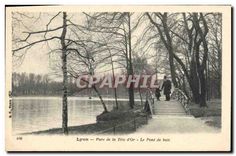 CPA Lyon Parc de la Tete d'Or Le Pont de Bois 