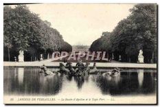 CPA Jardin de Versailles L Bassin d'Apollon et le Tapis Vert 