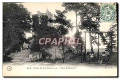 CPA Foret de Fontainebleau Tour Denecourt Enfants