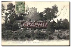 CPA Fontainebleau La Foret La Tour Denecourt 