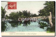 CPA Foret de Fontainebleau La Mare de Franchard 