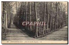 CPA Fontainebleau Allee du Jardin Anglais 