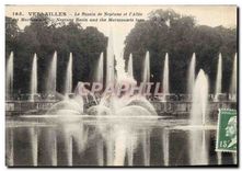 CPA Versailles Le Bassin de Neptune et l'Allee des Marmousets 
