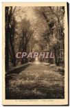 CPA Chateau de Chantilly grande Avenue 