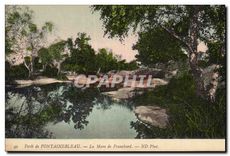 CPA Foret de Fontainebleau La mare de Franchard 