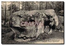 CPA Foret de Fontainebleau L'Elephant 